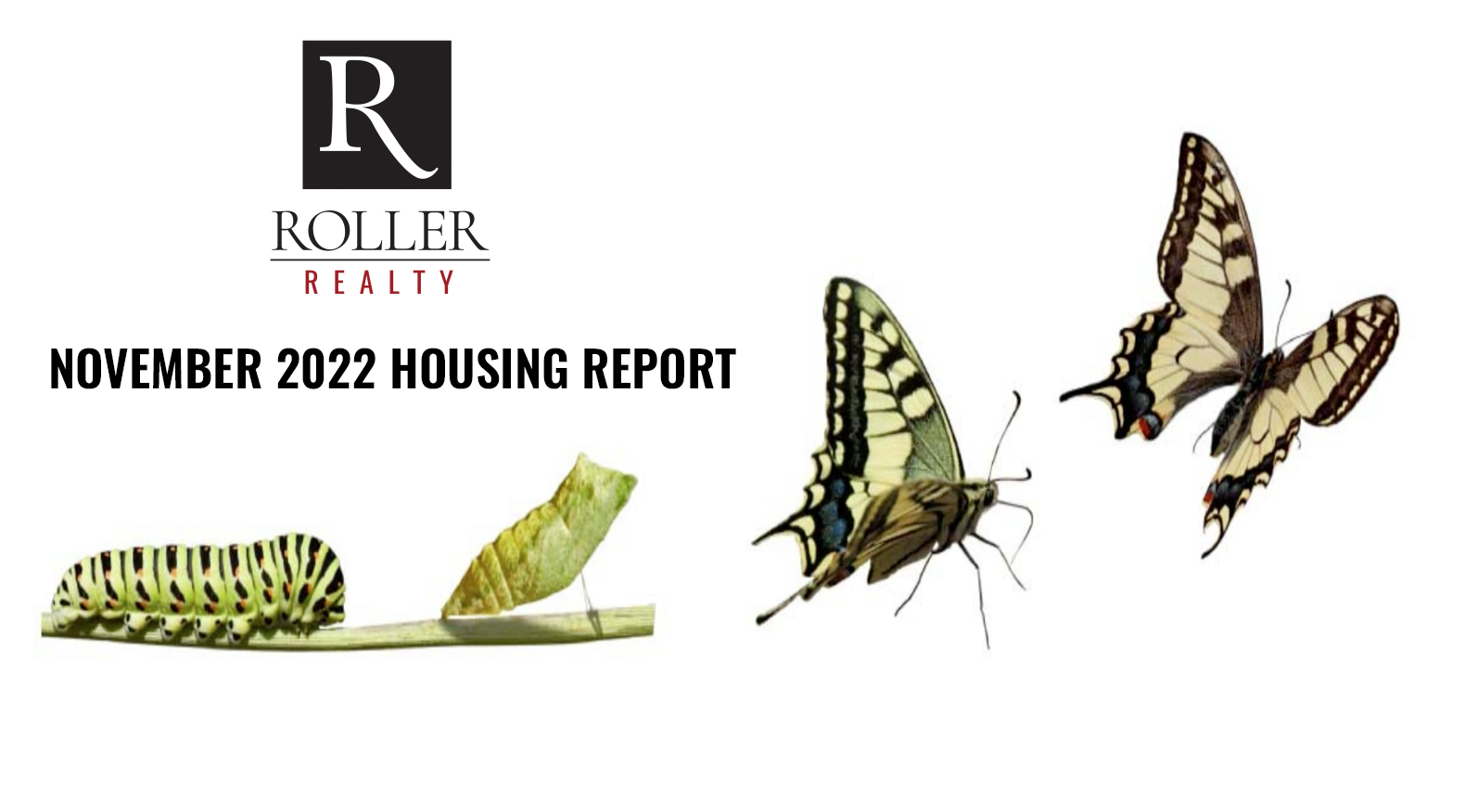 Image of the Life Cycle of a Butterfly with the title November 2022 Housing Report